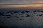 2007 11 25 camber plage 020